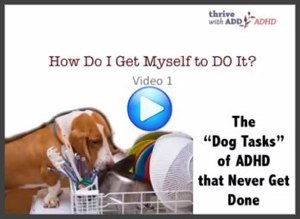 Adult ADHD Video - Dog Tasks